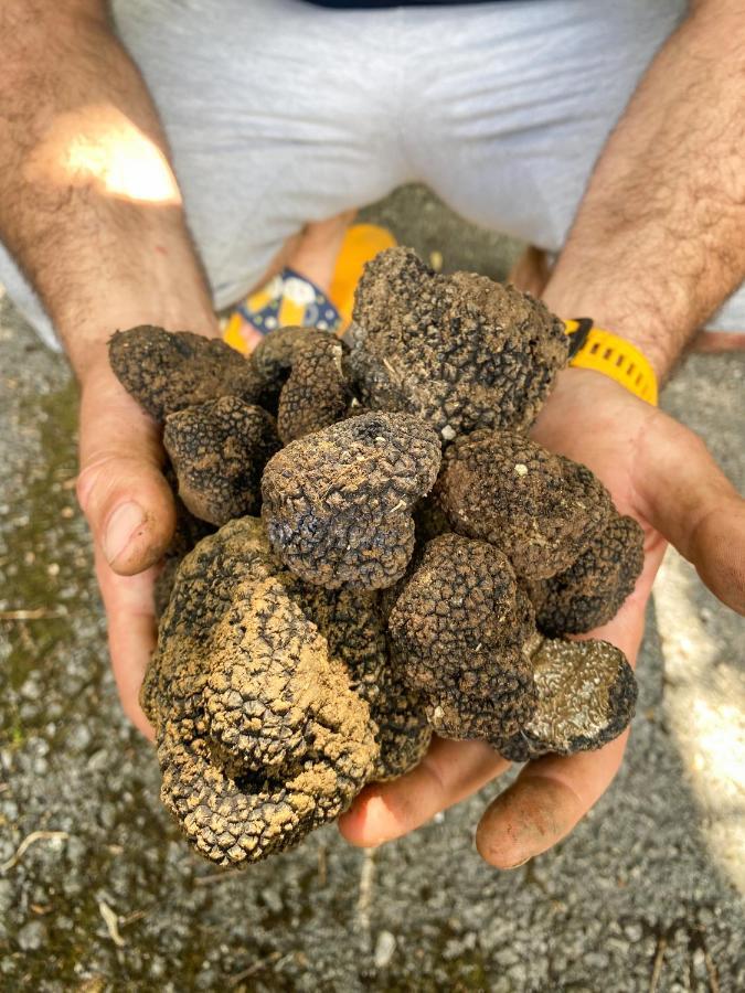 1st Truffle House Zumberak